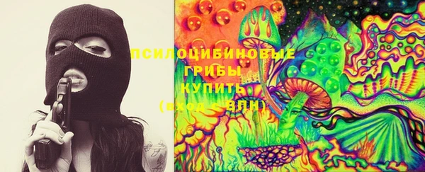спайс Алзамай