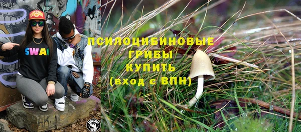 спайс Алзамай