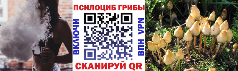 Псилоцибиновые грибы GOLDEN TEACHER  Кремёнки 